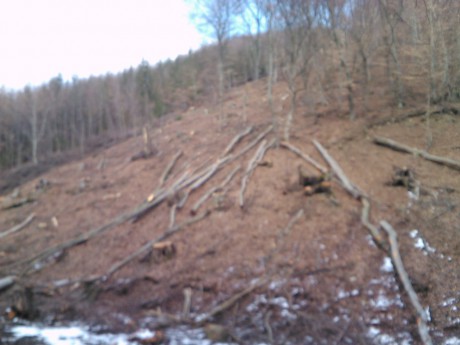 IMG024.jpg