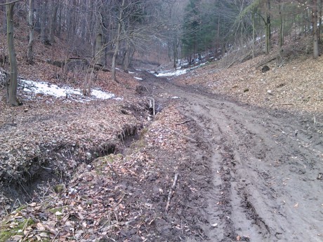 IMG026.jpg