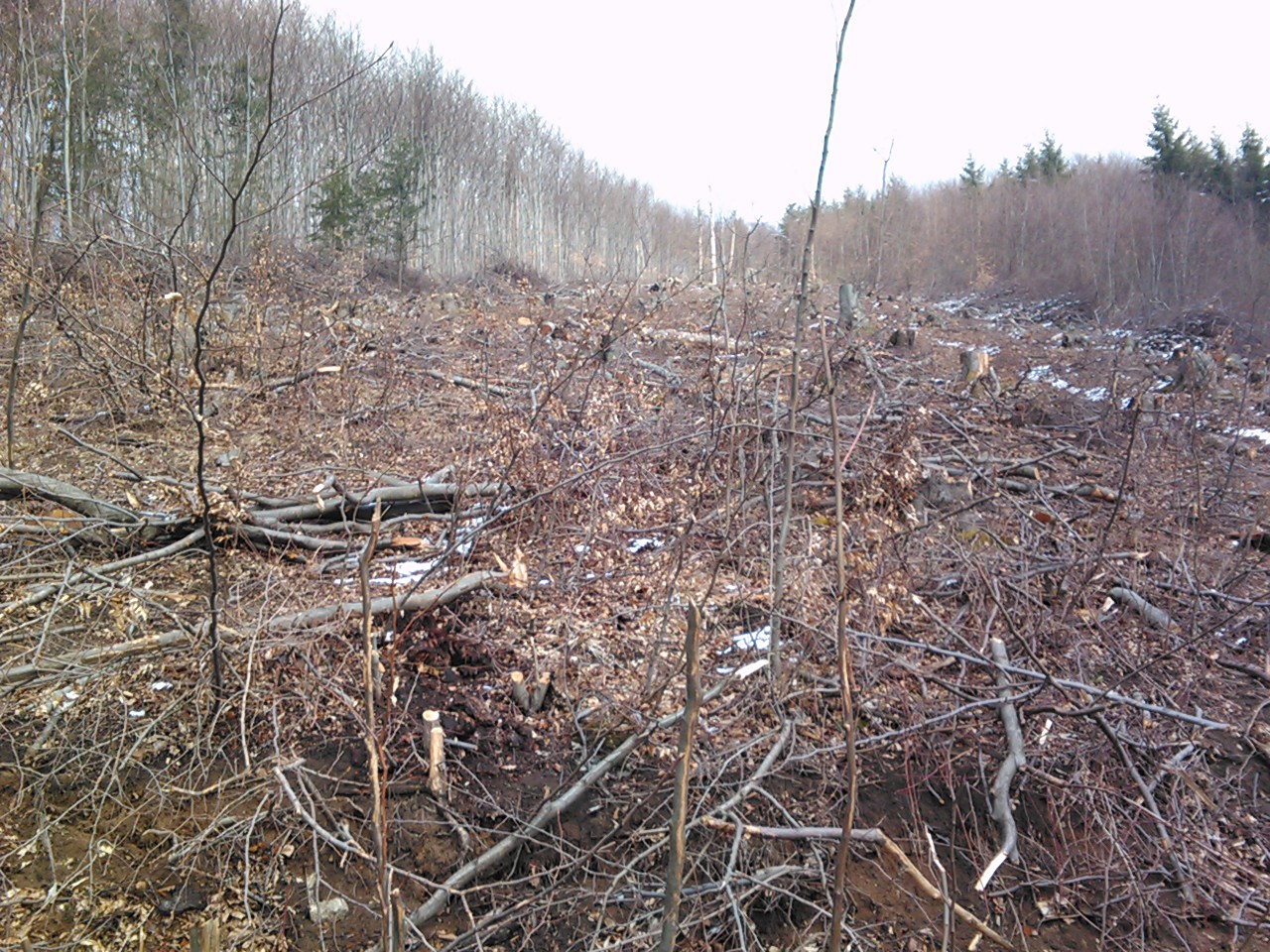 IMG034.jpg
